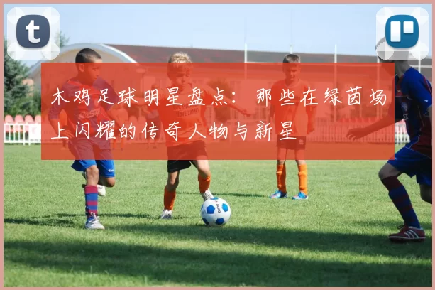 木鸡足球明星盘点：那些在绿茵场上闪耀的传奇人物与新星