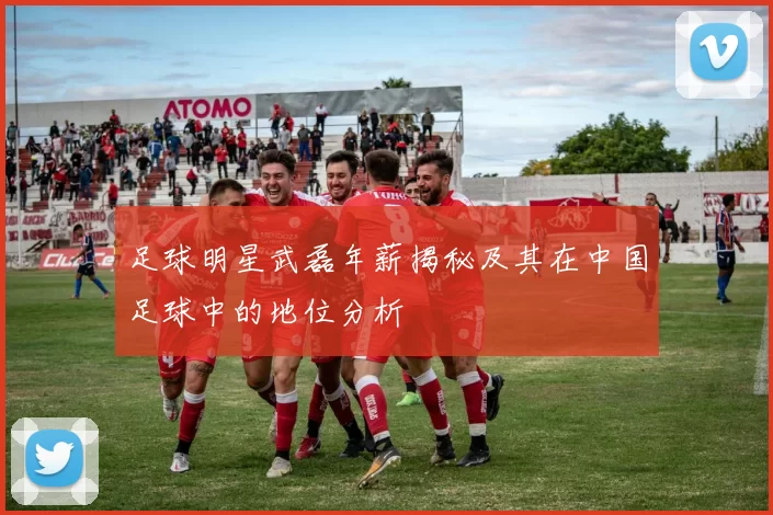 足球明星武磊年薪揭秘及其在中国足球中的地位分析