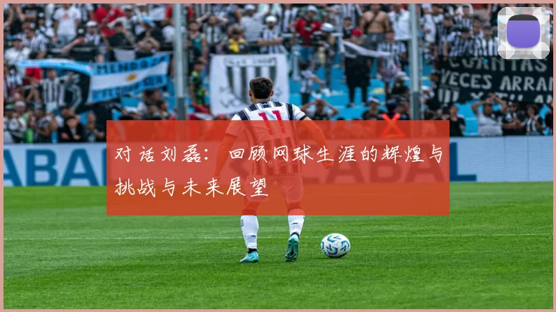 对话刘磊：回顾网球生涯的辉煌与挑战与未来展望