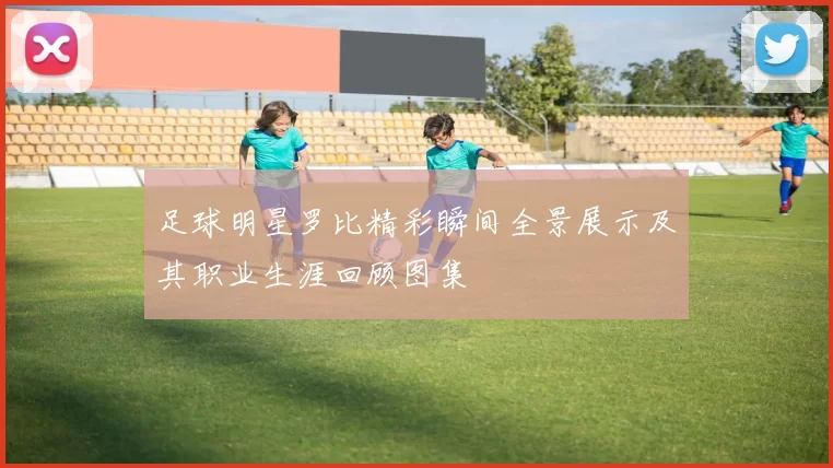 足球明星罗比精彩瞬间全景展示及其职业生涯回顾图集