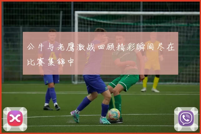 公牛与老鹰激战回顾精彩瞬间尽在比赛集锦中