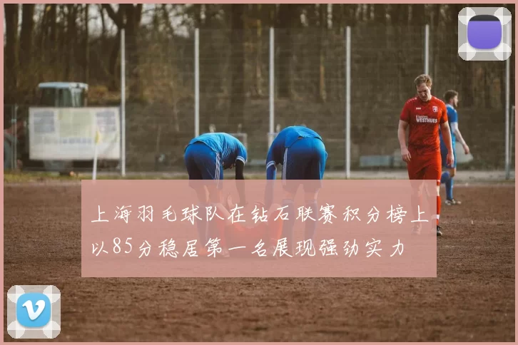 上海羽毛球队在钻石联赛积分榜上以85分稳居第一名展现强劲实力