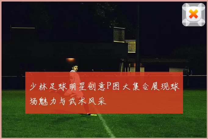 少林足球明星创意P图大集合展现球场魅力与武术风采