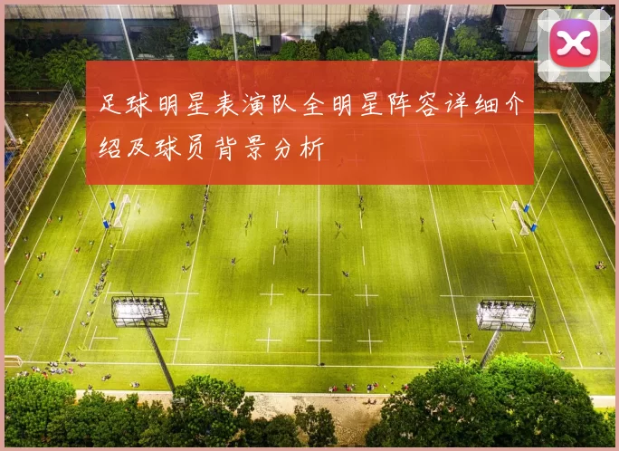 足球明星表演队全明星阵容详细介绍及球员背景分析