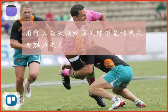用什么花来描绘男足球明星的风采与魅力之美