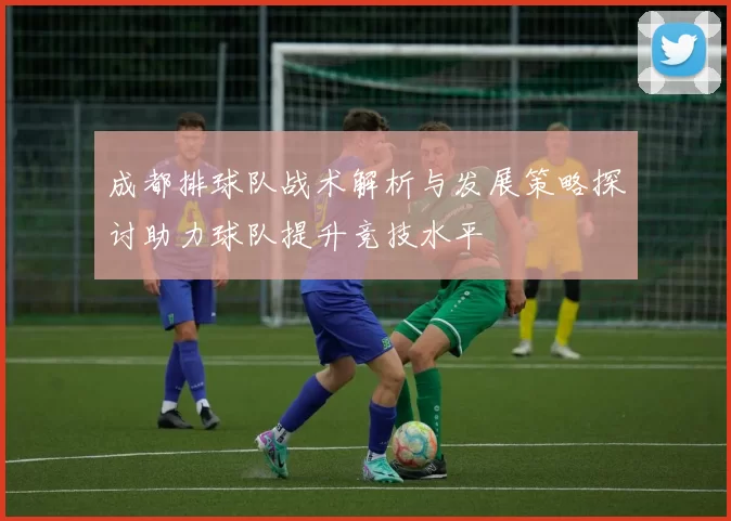 成都排球队战术解析与发展策略探讨助力球队提升竞技水平