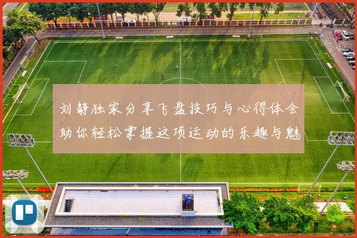 刘静独家分享飞盘技巧与心得体会助你轻松掌握这项运动的乐趣与魅力