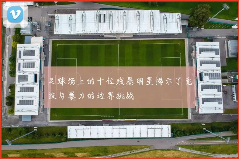 足球场上的十位残暴明星揭示了竞技与暴力的边界挑战
