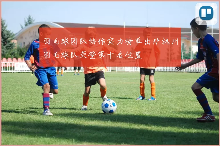 羽毛球团队协作实力榜单出炉杭州羽毛球队荣登第十名位置