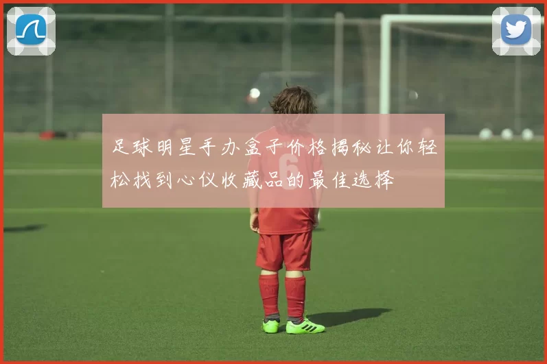 足球明星手办盒子价格揭秘让你轻松找到心仪收藏品的最佳选择