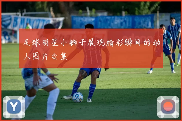 足球明星小狮子展现精彩瞬间的动人图片合集