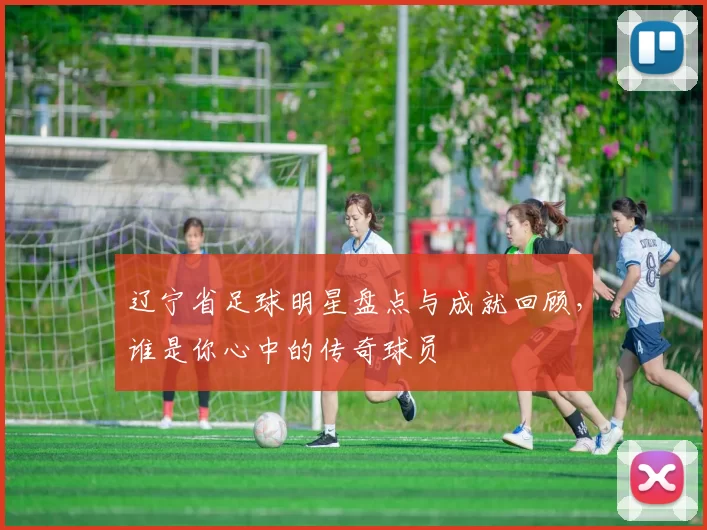 辽宁省足球明星盘点与成就回顾，谁是你心中的传奇球员