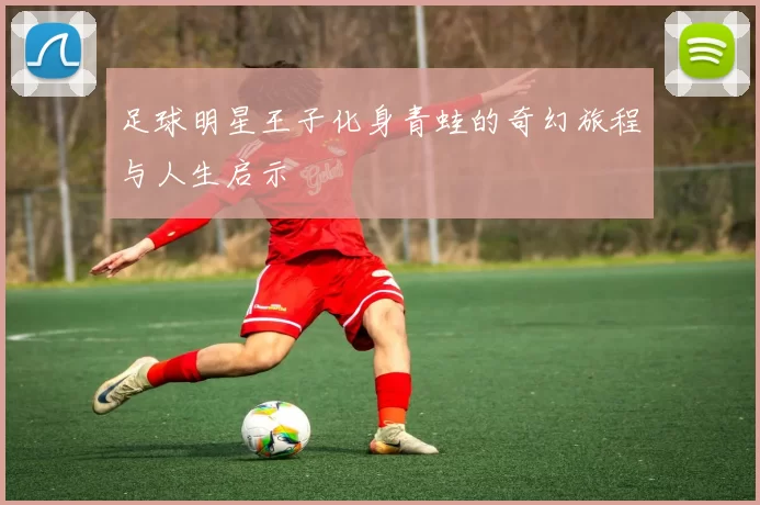 足球明星王子化身青蛙的奇幻旅程与人生启示